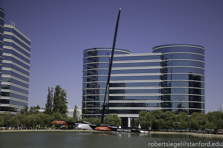 redwood shores